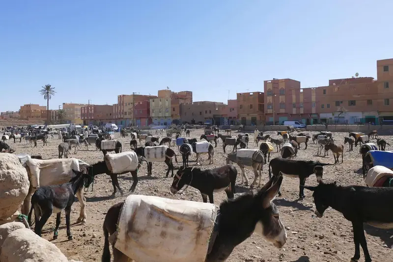 Tour de 3 días de Errachidia a Marrakech – foto 6