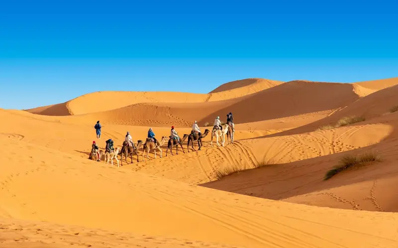 Paquetes de vacaciones en Marruecos – caravana de camellos en las dunas de Merzouga
