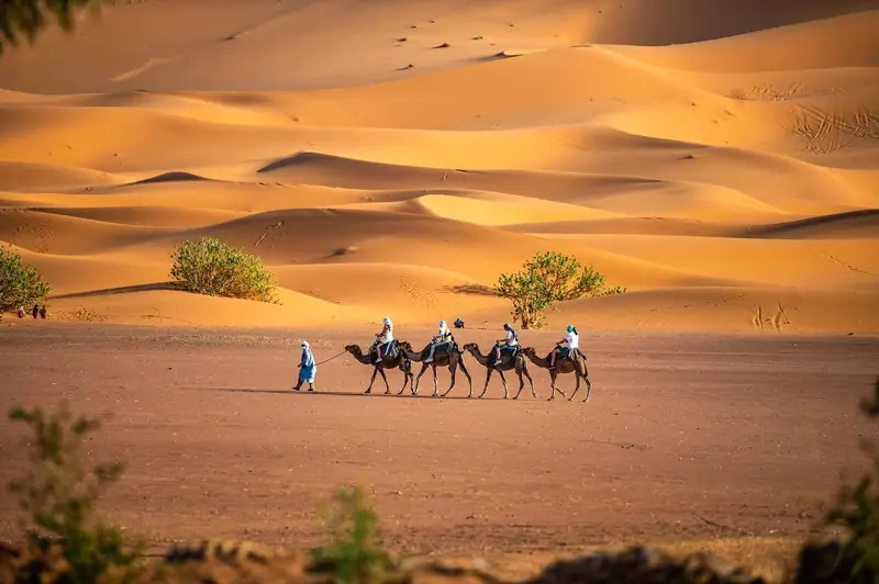 what to pack for a Morocco desert tour