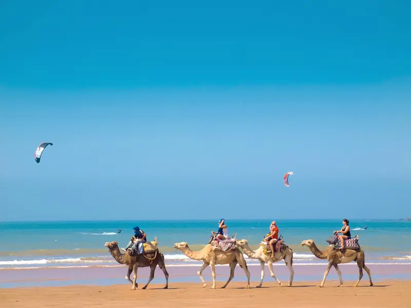 Excursión de 1 día de Marrakech a Essaouira – foto 5