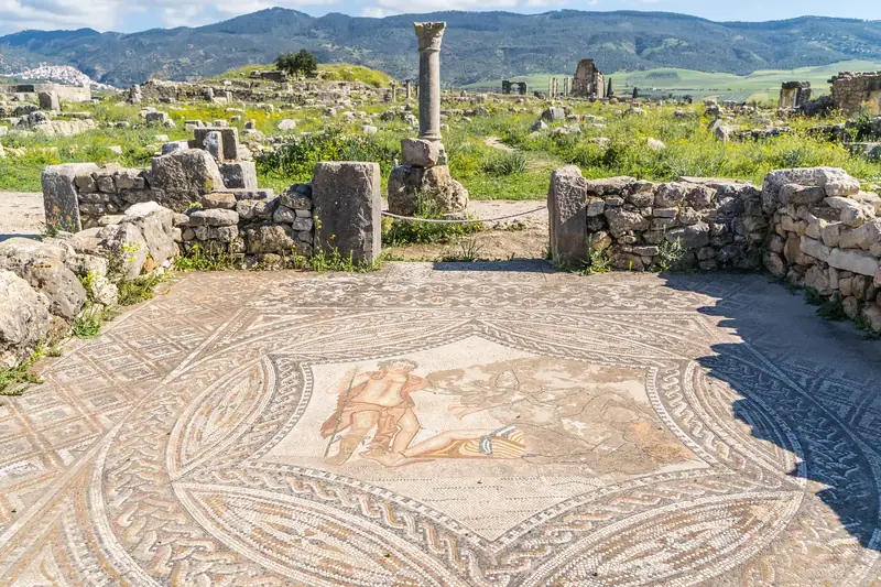 Excursión de 1 día de Fez a Volubilis – foto 4