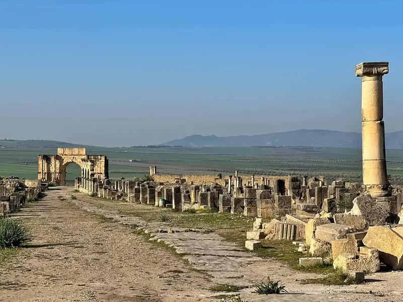 Excursión de 1 día de Fez a Volubilis – foto 5