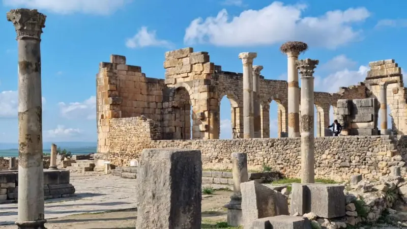 Excursión de 1 día de Fez a Volubilis – foto 6