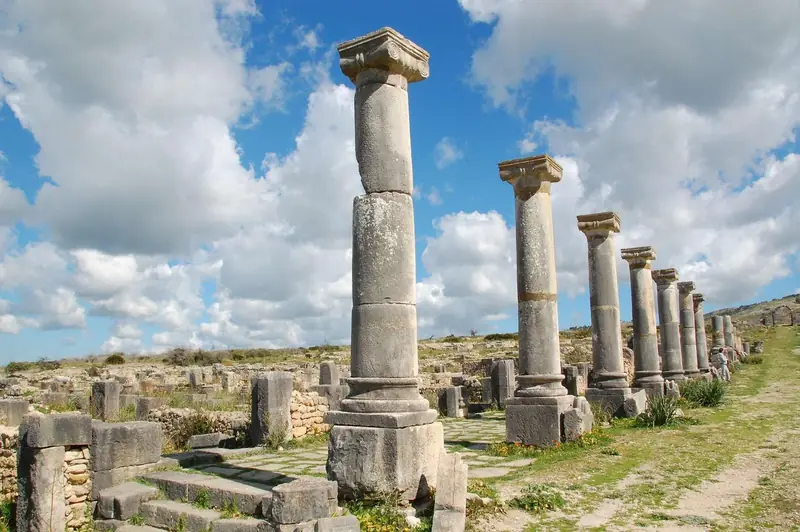Excursión de 1 día de Fez a Volubilis – foto 3