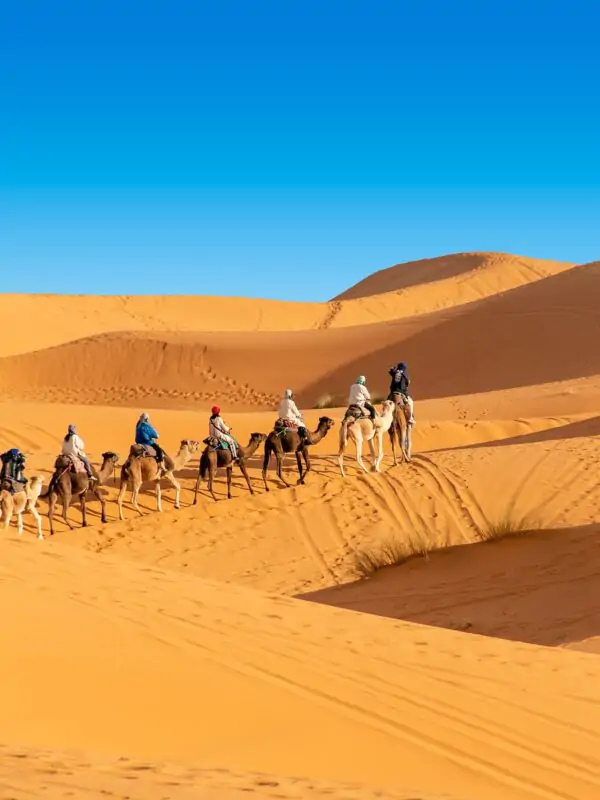 14 Day Morocco Tour from Casablanca